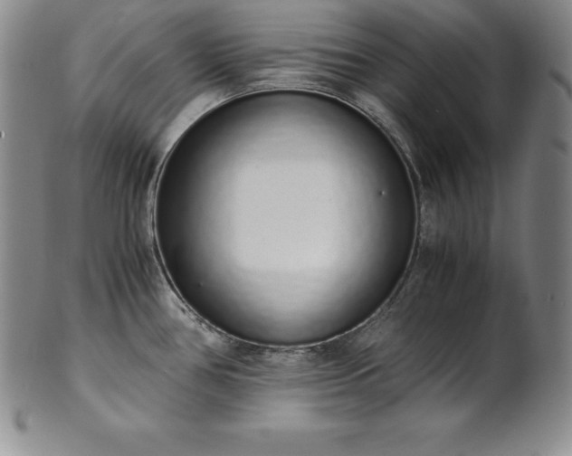 X0000101681386200807171401