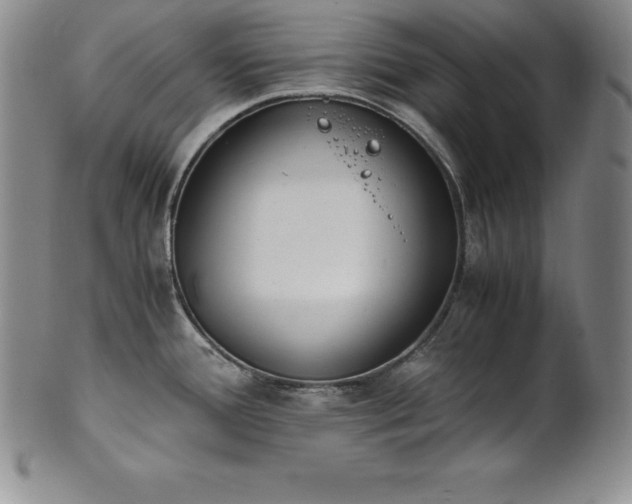 X0000101681388200807171401