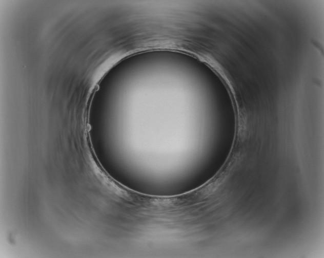 X0000101681389200807171401