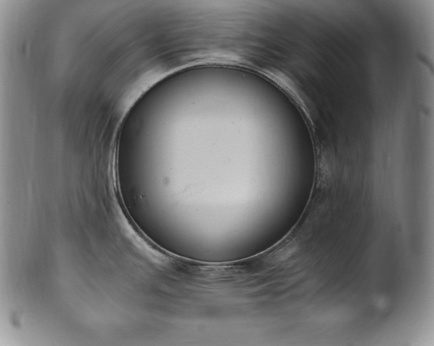 X0000101681391200807171401