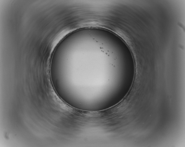 X0000101681392200807171401