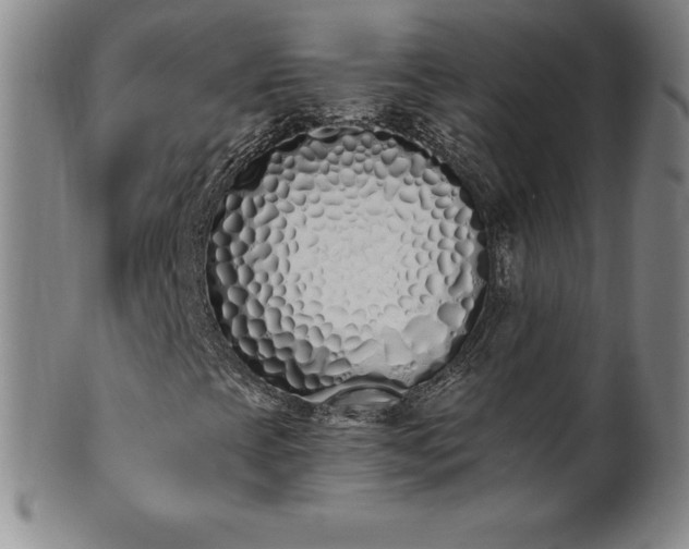 X0000101681393200807171400