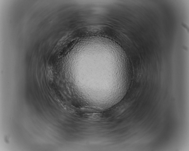 X0000101681394200807171401