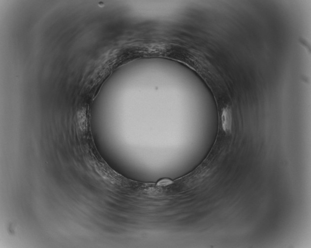 X0000101681395200807171401