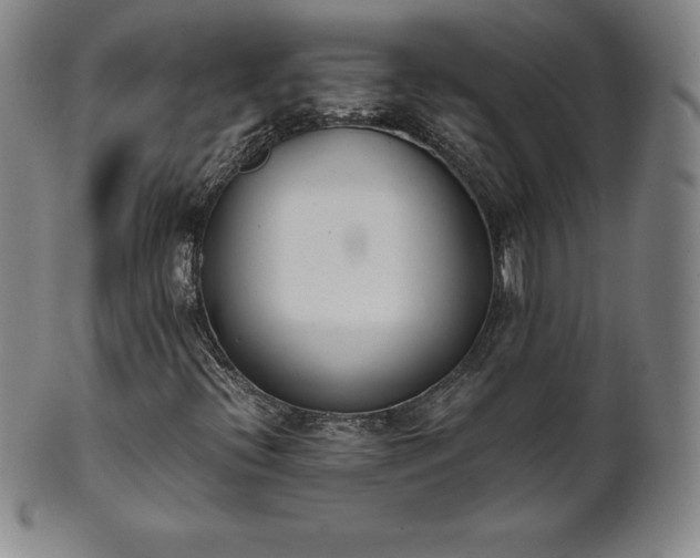 X0000101681396200807171401