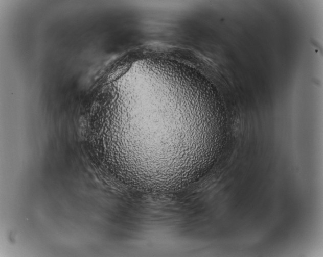 X0000101681397200807171401