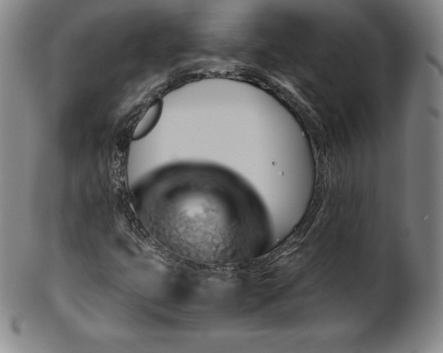 X0000101681399200807171401