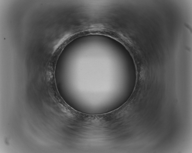 X0000101681400200807171401