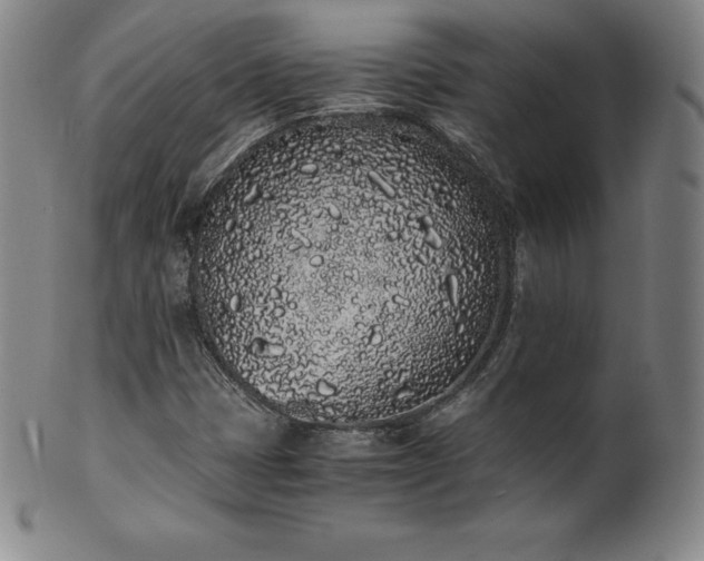 X0000101681401200807171401