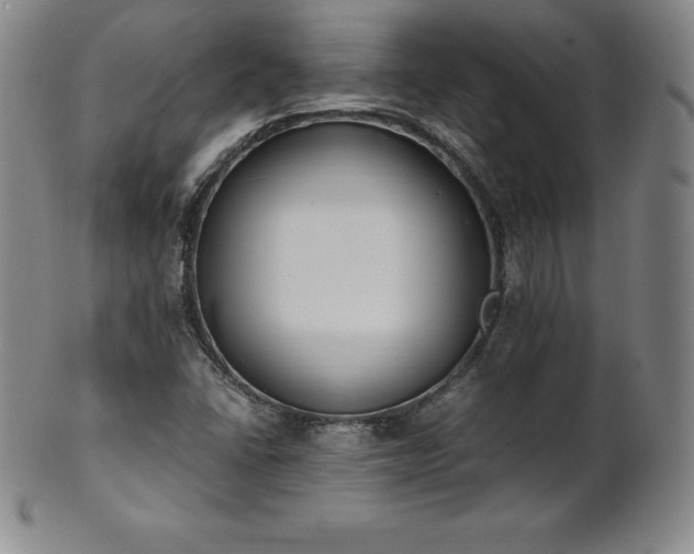 X0000101681406200807171401