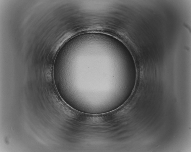 X0000101681409200807171401