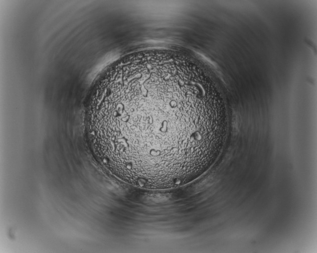 X0000101681411200807171401