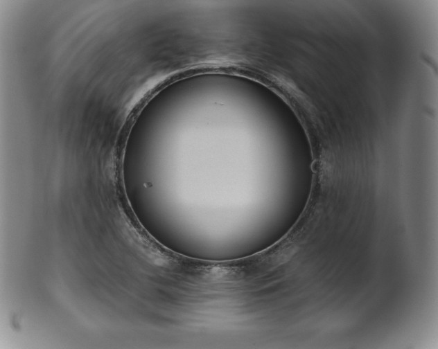 X0000101681412200807171401