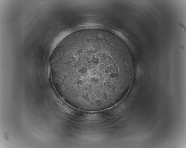 X0000101681413200807171401