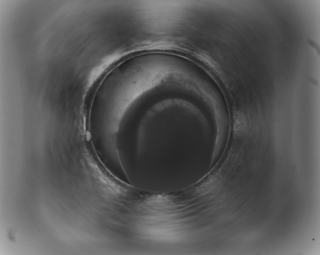 X0000101681414200807171401