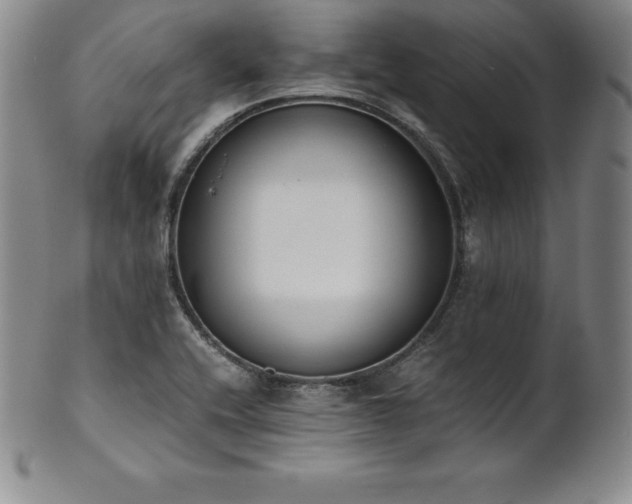 X0000101681416200807171401