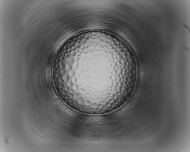 X0000101681417200807171401