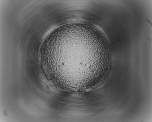 X0000101681419200807171401