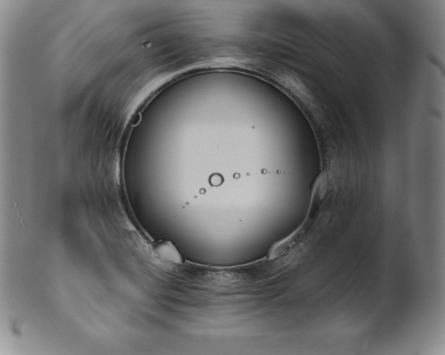 X0000101681420200807171401