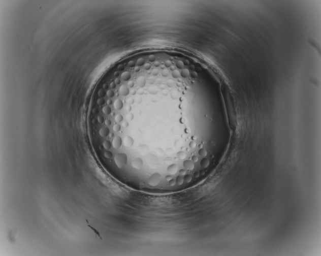 X0000101681421200807171401