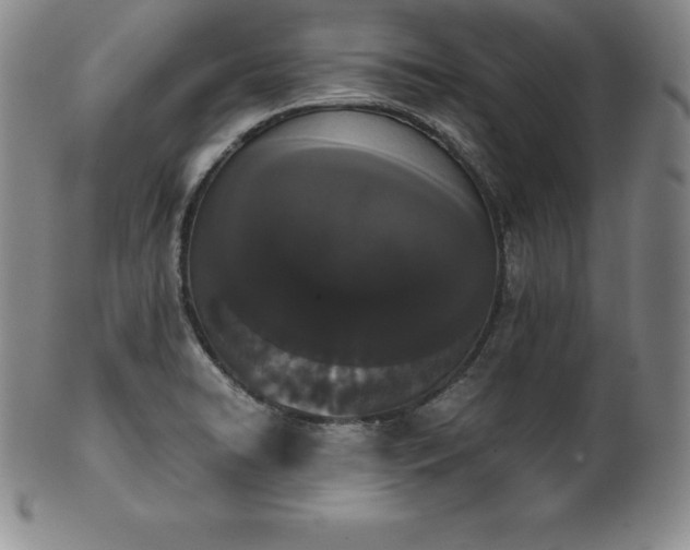 X0000101681422200807171401