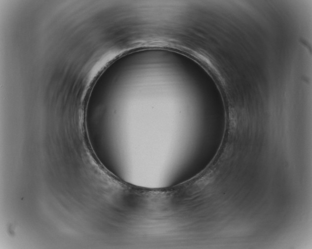 X0000101681424200807171401