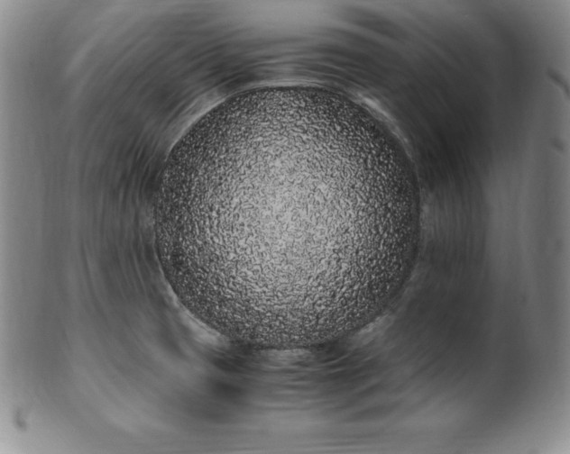 X0000101681425200807171401