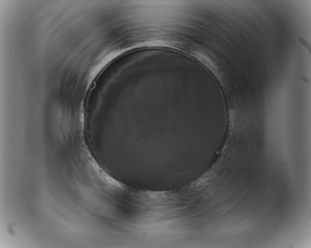 X0000101681428200807171401