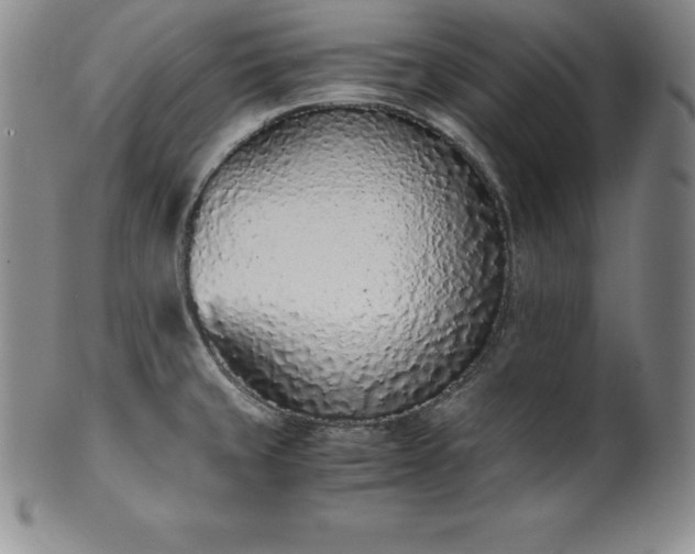 X0000101681429200807171401