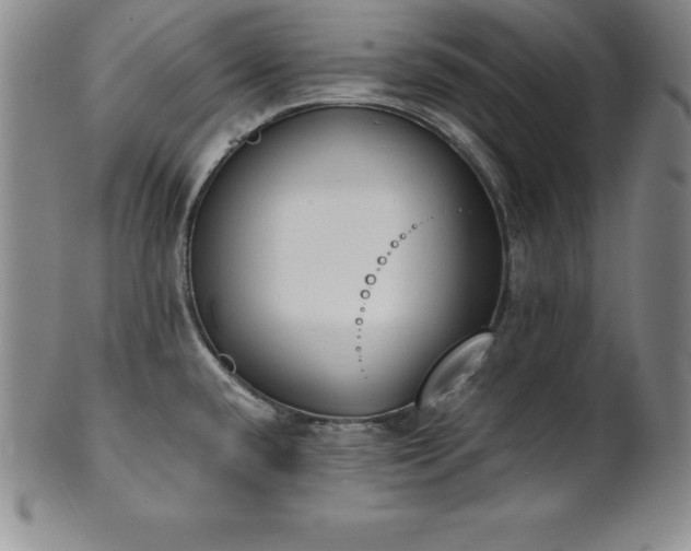 X0000101681432200807171401