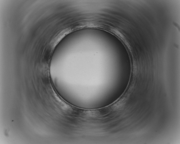 X0000101681433200807171401