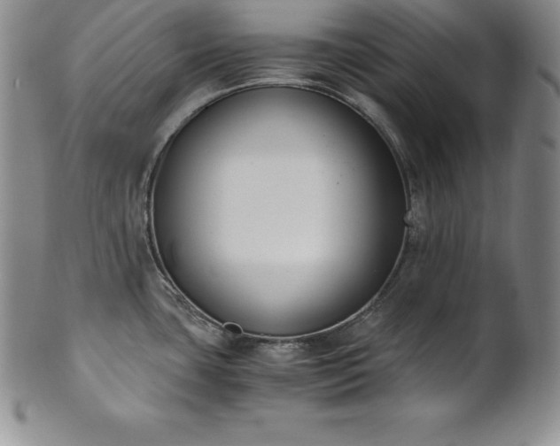 X0000101681435200807171401