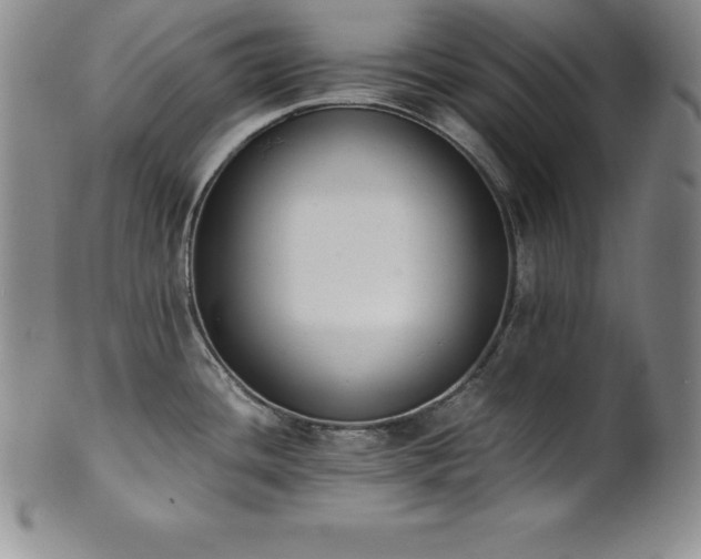 X0000101681436200807171401