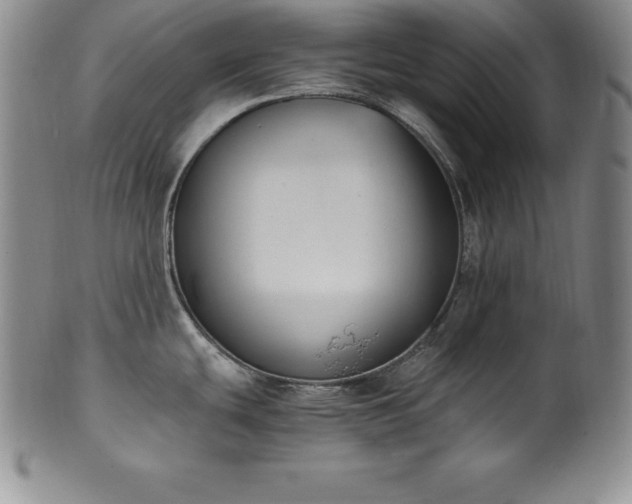 X0000101681439200807171401