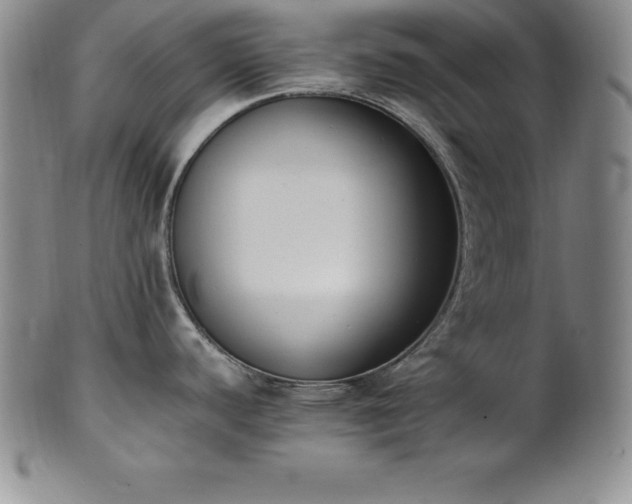 X0000101681440200807171401