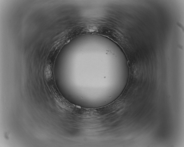 X0000101681442200807171400