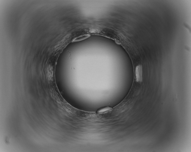 X0000101681443200807171400