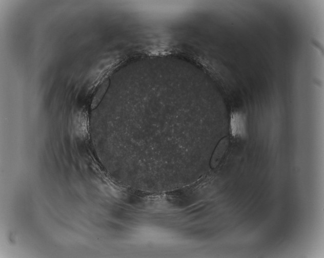 X0000101681444200807171400