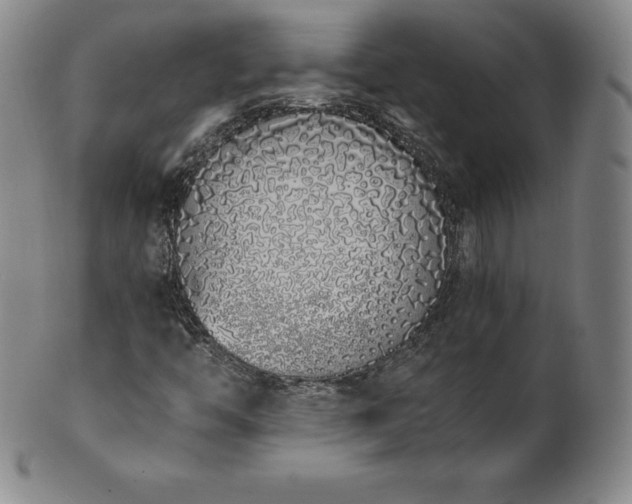 X0000101681446200807171400