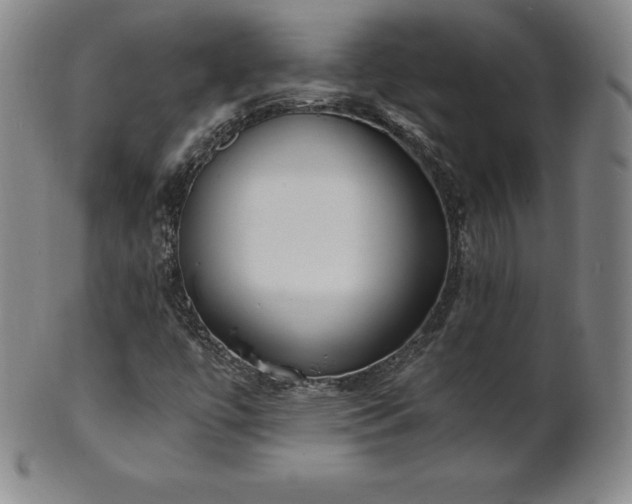 X0000101681447200807171400