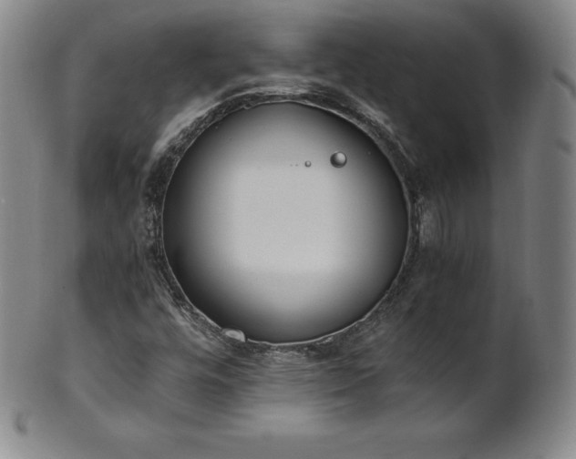 X0000101681448200807171400