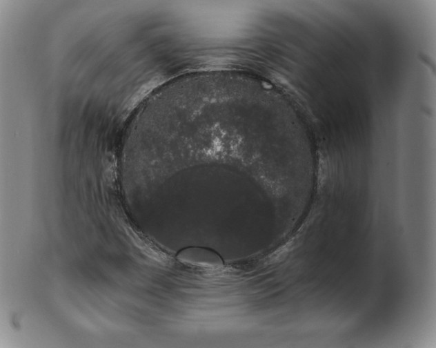 X0000101681449200807171400