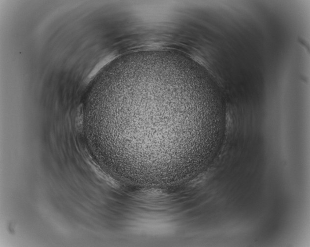 X0000101681450200807171400