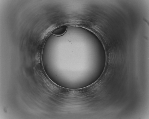 X0000101681451200807171400