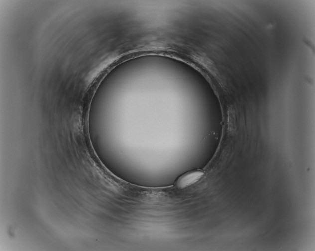 X0000101681452200807171400