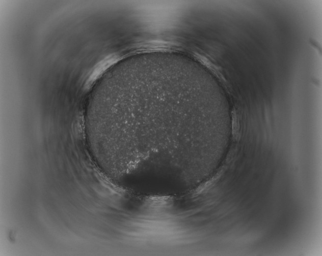 X0000101681453200807171400