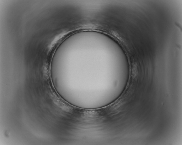 X0000101681454200807171400