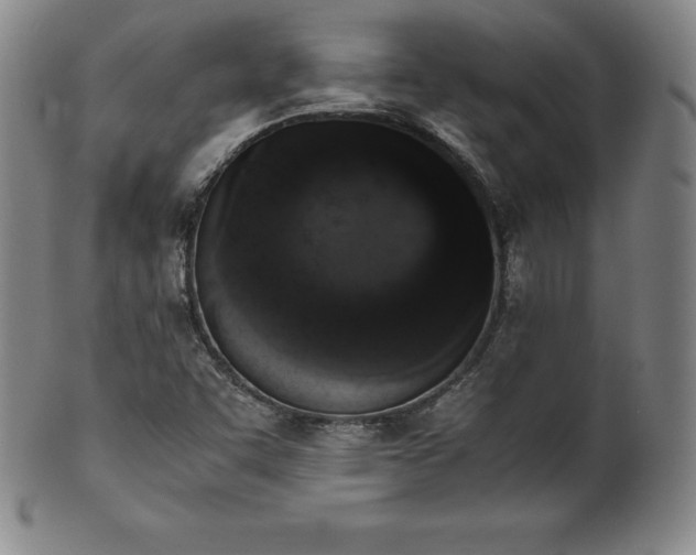 X0000101681455200807171400