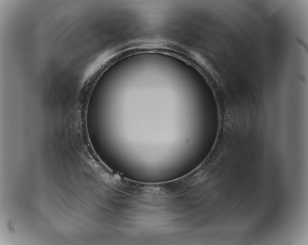 X0000101681456200807171400