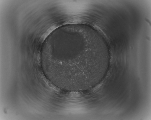 X0000101681457200807171400